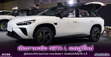 NETA L 2024