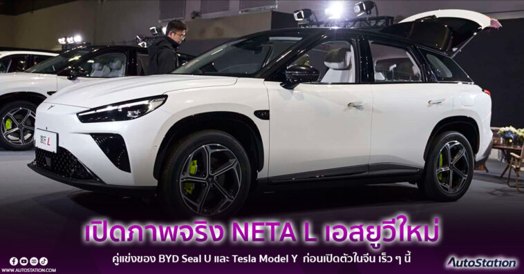 NETA L 2024