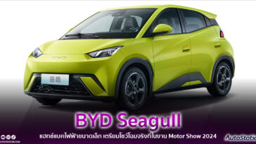 BYD Seagull