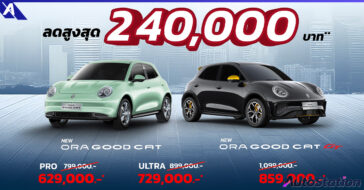 ORA Good Cat The GREAT DEAL