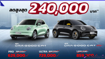 ORA Good Cat The GREAT DEAL