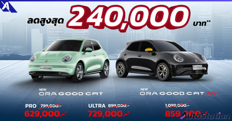 ORA Good Cat The GREAT DEAL