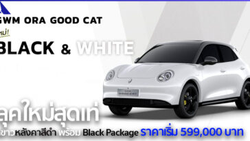 GWM ORA Good Cat in Hamilton White with Black Roof & Black Package