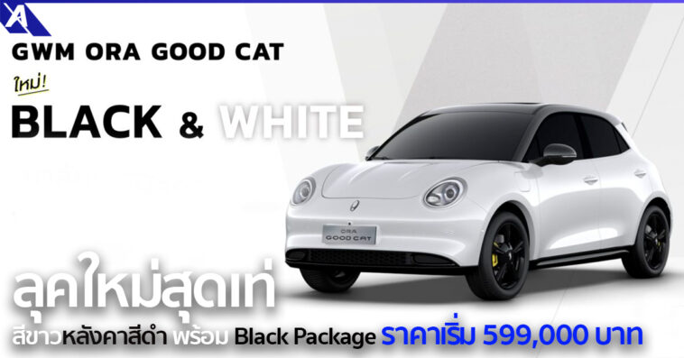 GWM ORA Good Cat in Hamilton White with Black Roof & Black Package