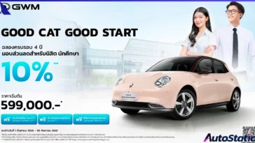 Good Cat, Good Start