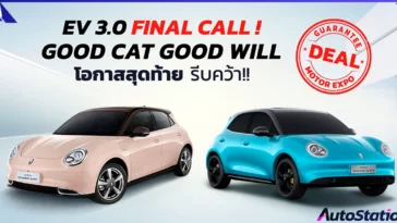 GWM ORA Good Cat Protect Customer Keep Brand Value